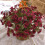 2 bouquet di margherite e crisantemi in seta 1