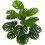 Monstera artificielle 56 cm, feuillage tropical vert 1