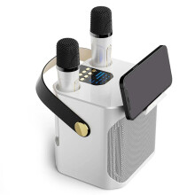 High Power Karaoke -Högtalare Bärbar 360 Stereo Surround Trådlös Subwoofer med Dubbel Mikrofon Vit