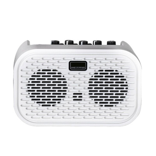 Electric Acoustic Guitar Amplifier Powered Portable  Speaker Distortion Delay Effects10W