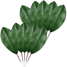 Duilleoga Magnolia Saorga Glasa Maisiúla 10pcs