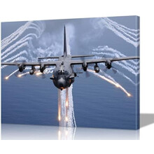 Flugzeug-Wandbild auf Leinwand, Poster, 30,5 cm H x 45,7 cm B