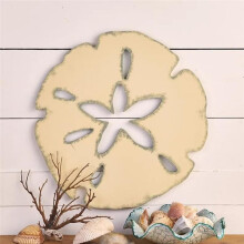 Trä Sand Dollar Väggdekor, Sommar Väggdekor SandDollars Väggdekor, Trä Rund Sand Dollar Wall Art Utomhus 35x35cm