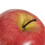 12 Large Artificial Red Apples-Decorative Fruit 3