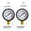 Professionele verticale manometer 0-16 BAR koolstofstaal-Y50 4