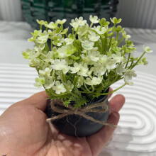 Planda Pota Beag Saorga 10cm