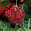 Teal sequin Christmas tree ornament 80mm foam with pearls 4