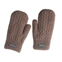 Winddichte fleecehandschoenen voor heren Thermische-Koffie