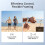 For  Osmo Mobile 7 Gimbal Stabilization Robust 3-Axis Portable Mobile Phone Stabilizer for Phone Charging 5