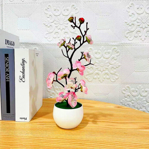 Planda Bonsai Bláth Pluma Saorga 30cm