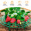15 Pack Strawberry Plant Supports Strawberry Growing Support Rack Avoid Rot Frame  Strawberry Growing Tool 2