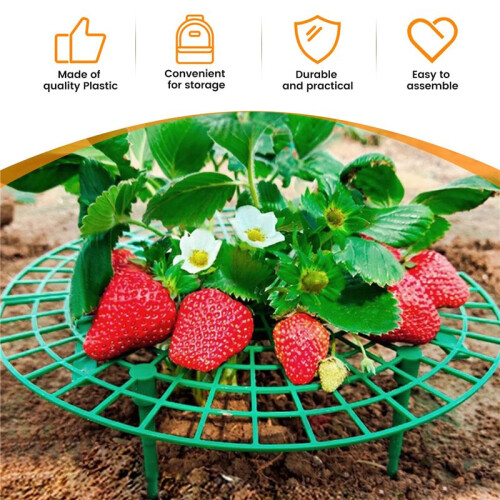 15 Pack Strawberry Plant Supports Strawberry Growing Support Rack Avoid Rot Frame  Strawberry Growing Tool 1