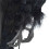 2X Realistic Hanging Dead Crow Decoy Lifesize Extra Large Black Feathered Crow 4