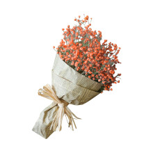 Maisiúcháin Baile Bouquet Gypsophila Triomaithe Nádúrtha