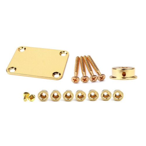 Electrosocket Jack Plate & Guitar String Ferrules & Basgitarr Metall Halsplatta Kompatibel Gitarrstränglindare 1