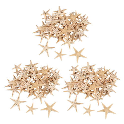 Small Starfish Star Sea Shell Beach  0.4 Inch-1.2 Inch 180 Pcs