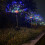 Φωτιστικό κήπου LED με ηλιακή ενέργεια, 120 lumen, εξωτερική διακόσμηση 5