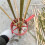 Divisor de Bambu, Ferramenta de Aço para Dividir Bambu Manualmente, Lâmina com Cabo Alongado para Corte Eficiente 6