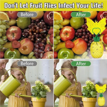 6er-Pack Fruchtfliegenfallen - Effektive Fruchtfliegenfänger, Mückenfallen mit Aufkleber, Ungiftig, Wiederverwendbar, für Küche und Haushalt