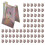 500pcs Bronze Tone Spring Metal Car Door Panel Spire Screw U-Type Clips 1