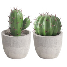 Artificial Cactus Bonsai Plant Set – 2 Pack