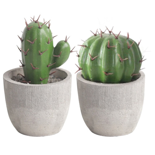 Artificial Cactus Bonsai Plant Set – 2 Pack