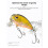 10 cm/5,5 G Topwater Angelköder Kunstköder Hard Plopper Rotierender Schwanz Angelgerät Angelköder B 5
