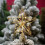 Étoile de Noël Capino LED à 5 branches, petite décoration 5