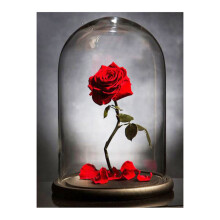 DIY Diamond Painting Art Painting Wall Decoration Home Office Decoration Red Rose