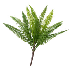 Plante verte artificielle réaliste de fougère pour-11 feuilles
