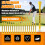 Darts  Tees - Premium Bamboo  Tees - Open A Pack and Light  the Tee Box A Darts  Tee 6
