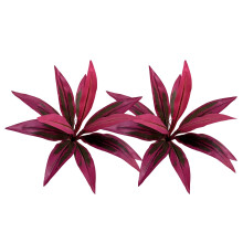 False Brazilian Wood Dragon Blood Tree For Stage-12 heads