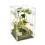Clear Reptiles Enclosure With Secure Locking Lid And Airflows 1