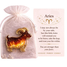 Zodiacs Pocket Hug with Inspirational Cards,Pocket Hug-A