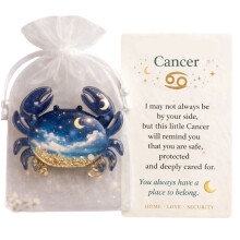 Zodiacs Pocket Hug with Inspirational Card,Zodiacs Tokens Hug-G