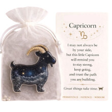 Zodiacs Pocket Hug Emotional Supports Appreciation Card for-I
