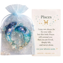 Zodiacs Pocket Hug Tokens DIY Sentimental Gift for-L