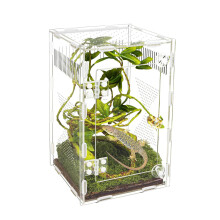 Huisdierobservatiebehuizing Acrylterrariumtanks met