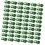 Clips fixes pour plantes, 50 pièces, supports de serre 1