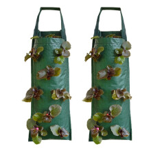 Outdoor Hanging Plant Bag For Various Fruits Flowers-Green