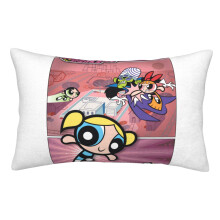 Powerpuff Pigerne Fløjlspudebetræk 20x30in