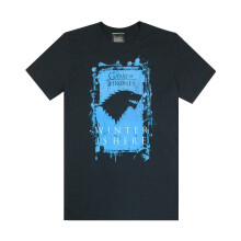 (Large) Game of Thrones Short Sleeved T-Shirt (Mens Black)