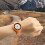 6Pcs Portable Compasses Watches Adjustable Strap-orange color 6