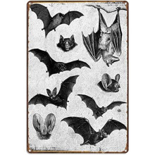 Gotisches Fledermaus-Wandschild aus Blech, 8 x 12 Zoll