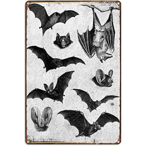 Targa da parete in latta con pipistrello gotico, 20x30 cm