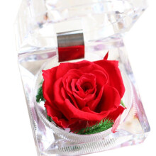 Boîte à bague rose éternelle – Étui en acrylique velours rouge