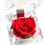Boîte à bague rose éternelle – Étui en acrylique velours rouge 1