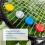 8Pcs Ball Shape Tennis Racket Shock Absorbers Silicone Vibration 7