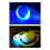 Light Detection Flashlight for Residue Detector Banknote Detector Household Vegetable Fruit Detection 4