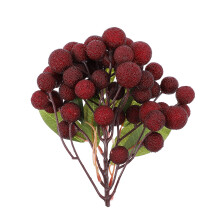 Decorazioni artificiali con frutti di Waxberry – Casa e